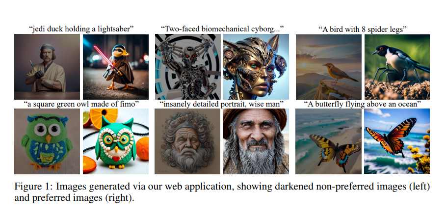 图 1：通过我们的 Web 应用程序生成的图像，显示变暗的非偏好图像（左侧）和偏好图像（右侧）